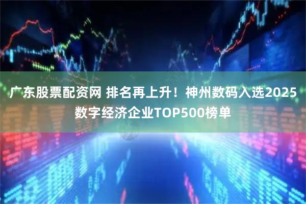 广东股票配资网 排名再上升！神州数码入选2025数字经济企业TOP500榜单