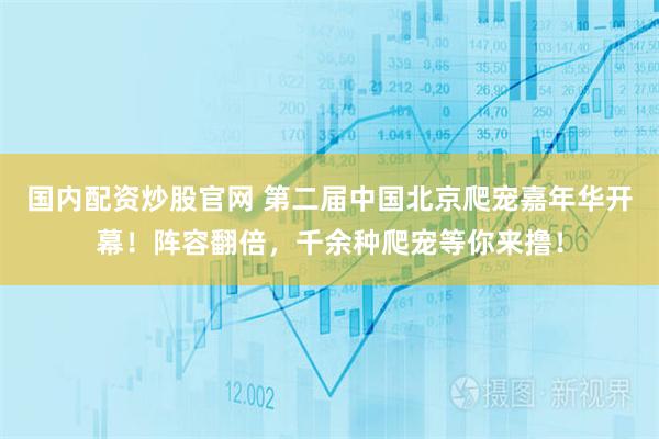 国内配资炒股官网 第二届中国北京爬宠嘉年华开幕！阵容翻倍，千余种爬宠等你来撸！